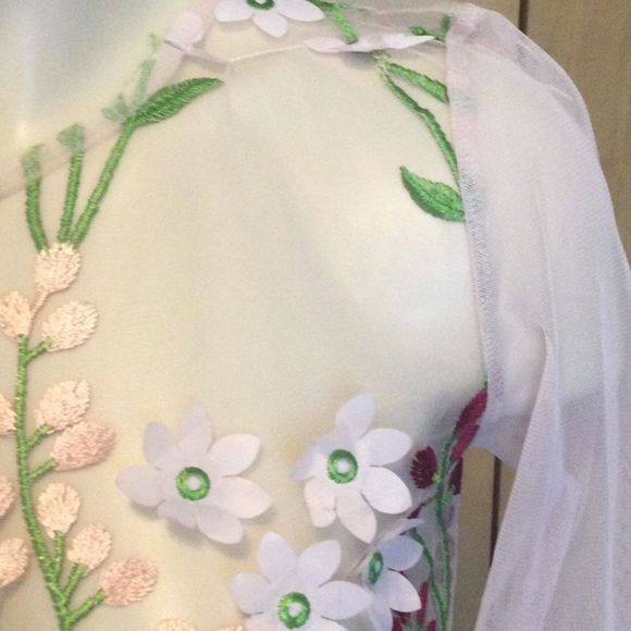 Zara blush sheer tulle mesh floral embroidered top - Picture 7 of 14